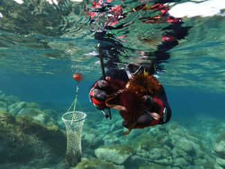 Garder vivante la pêche côtière