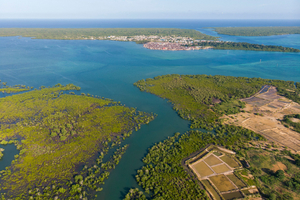Baie de Pemba : escale africaine entre rivage corallien, eaux profondes et traditions swahilies