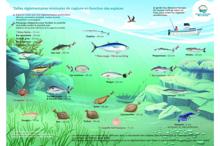 Nautisme Article