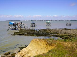 Naviguer dans le Parc naturel marin de la...