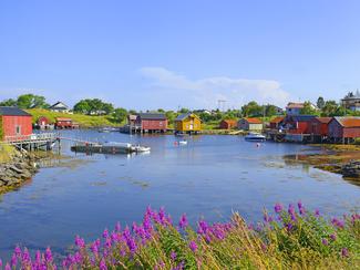 L'archipel norvégien de Vega pour une escapade...