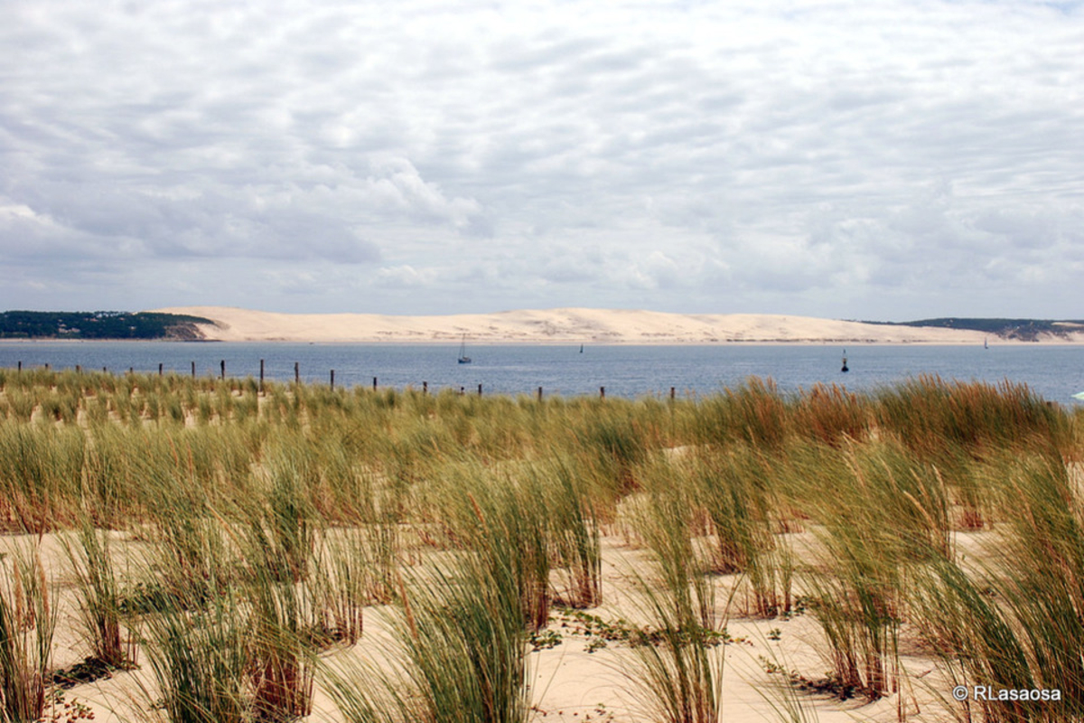 La plage de la Pointe du Cap Ferret bientôt accessible de nouveau ?