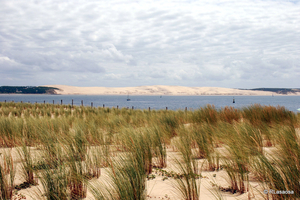 La plage de la Pointe du Cap Ferret bientôt accessible de nouveau ?