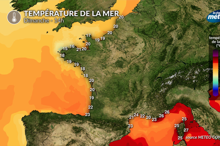 Temperature de la mer dimanche