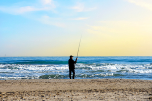 Surfcasting de rentrée : bars et dorades à portée de canne