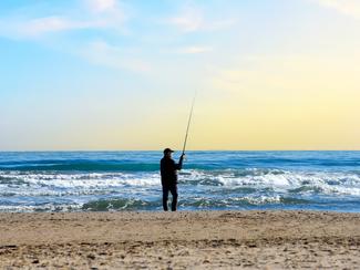 Surfcasting de rentrée : bars et dorades à...