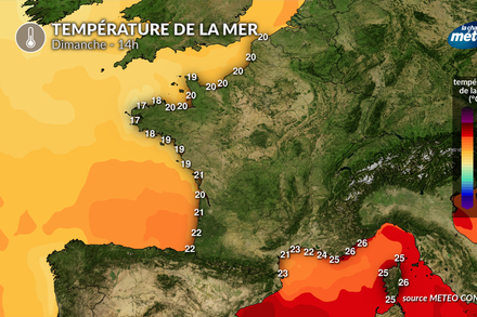 Temperature de la mer dimanche