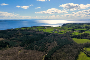 Le plus grand lac du Royaume-Uni suffoque à cause des algues toxiques