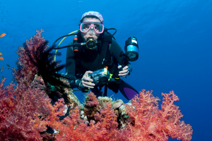 Salon de la Plongée 2026 : un concours photos et films dédié à la macro sous-marine