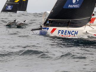 La Solitaire du Figaro Paprec : dans l’attente...