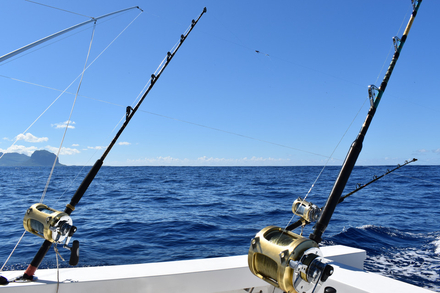 Nautisme Article