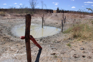 Sécheresse record en août en Europe et sur les côtes de la Méditerranée