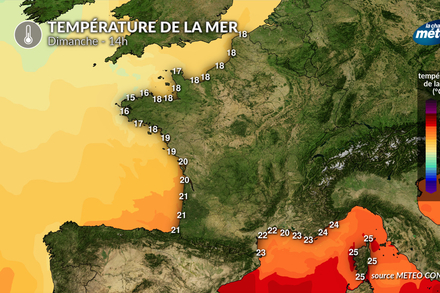 Temperature de la mer dimanche