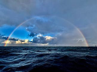 La Solitaire du Figaro Paprec : à la recherche...