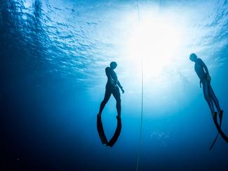 Tout savoir sur la pratique de l’apnée : un...