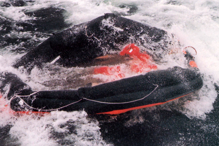 Nautisme Article