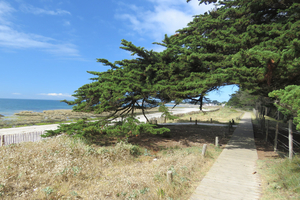 La presqu'île de Rhuys, terre de marins