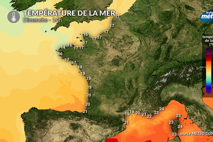 Temperature de la mer dimanche