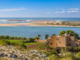 Safi, l'authentique qui surfe sur la vague