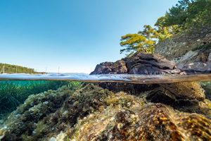 Les plus beaux spots de plongée accessibles aux débutants en France