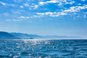 Le réchauffement des océans favorise les espèces invasives, selon un rapport