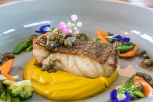 À table : recettes d’octobre autour du lieu noir et des coquillages