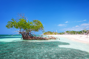 Les plus belles cayes de Cuba