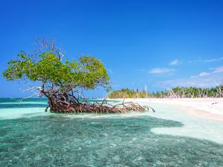 Les plus belles cayes de Cuba