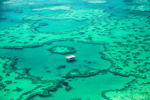 Où admirer la faune marine australienne ?