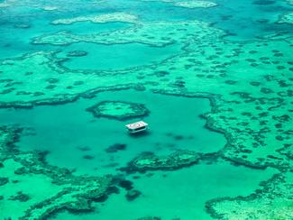 Où admirer la faune marine australienne ?