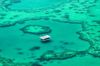 Où admirer la faune marine australienne ?