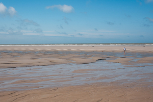 Qu'est-ce que les grandes marées ?