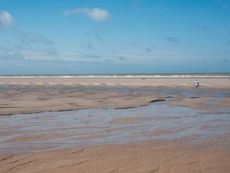 Qu'est-ce que les grandes marées ?