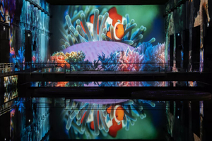 Océan : un voyage fascinant au cœur des abysses aux Bassins des Lumières de Bordeaux