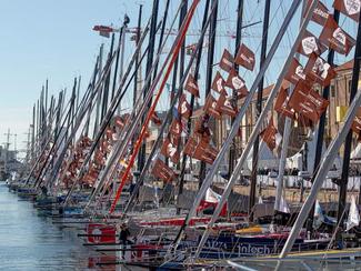 Transat Café L’Or 2025 : le village du Havre...