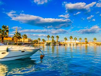 Entre désert et mer : road trip côtier...