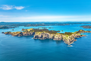 Les plus beaux spots de croisière en Nouvelle-Zélande