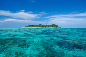 Top 5 des plus beaux spots de plongée en Malaisie