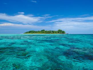 Top 5 des plus beaux spots de plongée en Malaisie