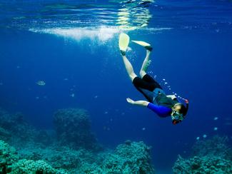 Snorkeling : 5 astuces pour profiter même...