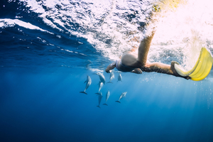 Vraie ou fausse bonne idée : nager avec les dauphins ?