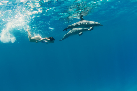 Nautisme Article