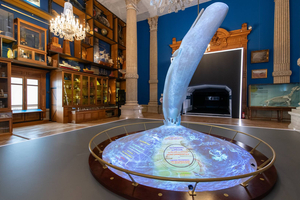 Méditerranée 2050 : un voyage spatio-temporel fascinant au cœur du futur marin