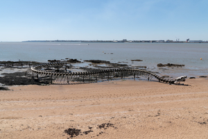 Saint-Brévin-les-Pins : à la rencontre du Serpent d’Océan et des œuvres de mer