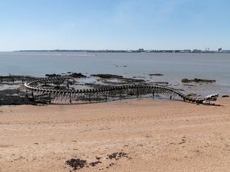 Saint-Brévin-les-Pins : à la rencontre du...