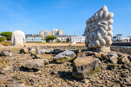 Le Pied, le Pull-over et le Systeme digestif