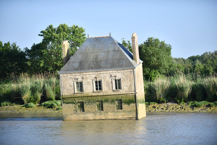 Maison dans la Loire