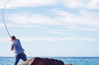 Pêche d’automne depuis les digues et jetées : la saison où tout mord ?