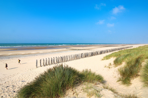 Littoral français : une contamination généralisée aux pesticides et résidus médicamenteux