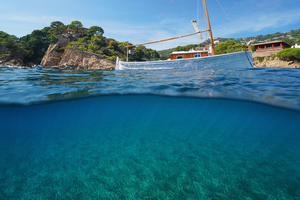 Ancrage et posidonies : les règles varient selon les rivages méditerranéens